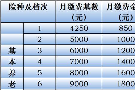 东营2022年灵活就业缴费标准