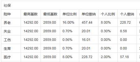 湖南社保怎么交费