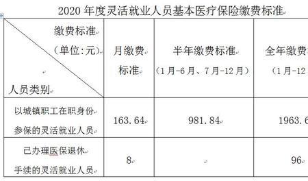 个人缴纳医保最晚每个月几号缴