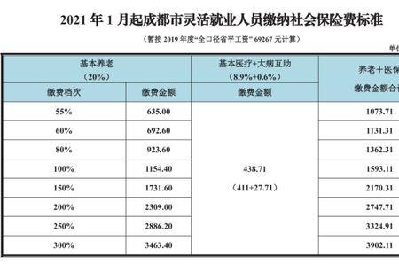 农村户口自费社保交哪个档最好