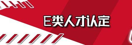 e类人才补助操作流程