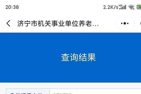河北人社怎样查询退休金