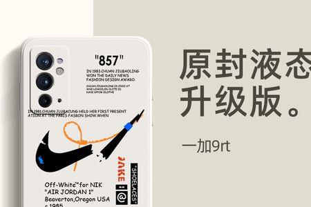 1+9r玩游戏闪退