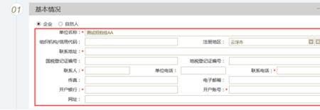 如何查询公司账户开户行地址