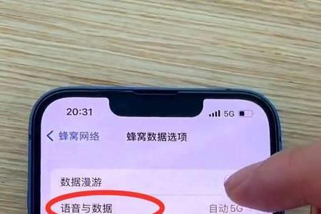 蜂窝数据漫游开还是关