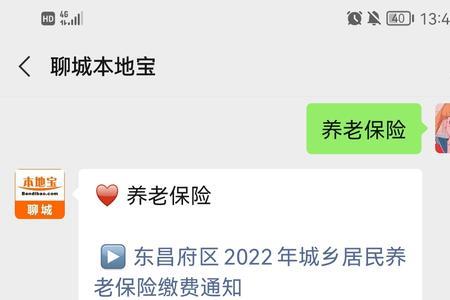 聊城养老保险个人账户怎么查询