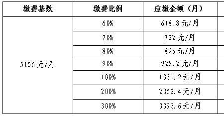 灵活就业基数是什么意思