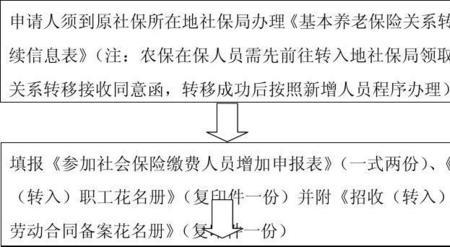 婴儿社保异地怎么办理流程