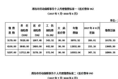 农业职工社保有哪些