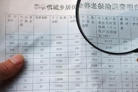 长春农村户口可以自己交社保吗