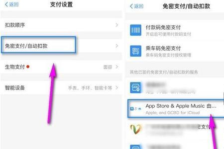 苹果手机免密支付什么意思