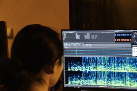 音频后期制作入门看什么书