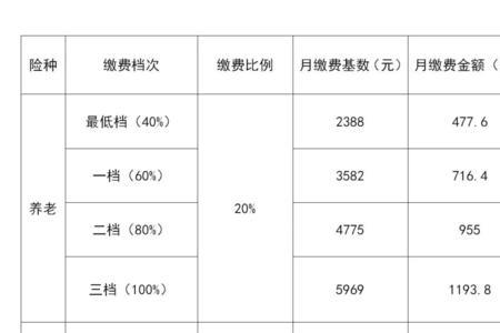 北京市三险养老保险缴费标准