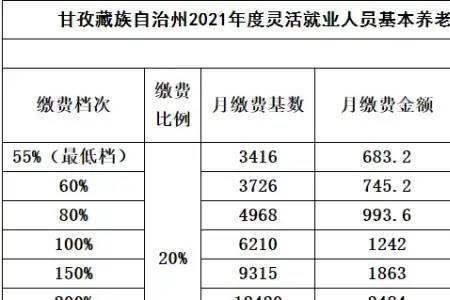 养老金企业最高标准一年交多少