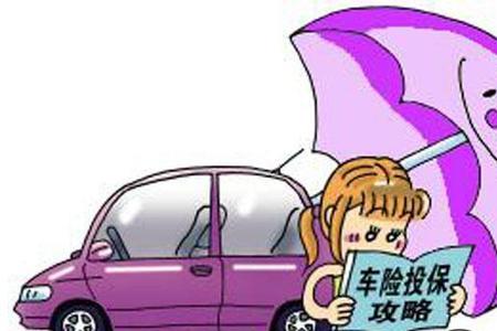 6年的车车险应该都买什么