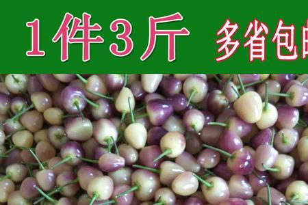 怎么区分泡椒和彩椒