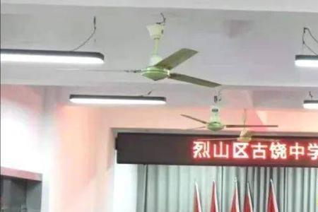 中学一定能查到团员信息吗