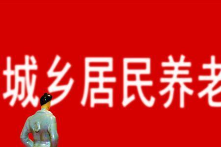 农民55岁还能一次交社保吗