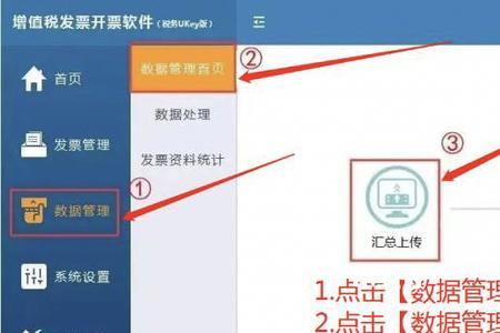 每月的报税流程怎么做