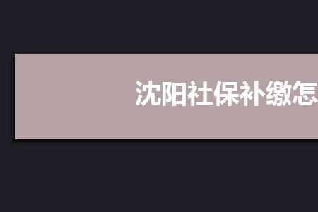 哈尔滨社保补缴流程是怎样的