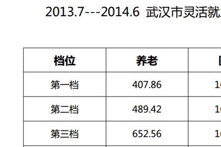 社保盘叫什么