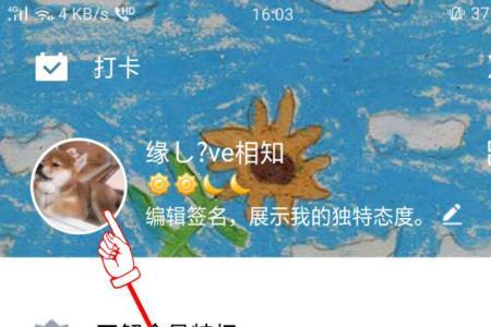QQ空间QQ影像怎么用