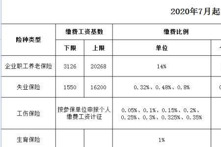 衡水社保缴费的比例是多少