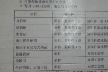 能通过单位单独交生育险吗