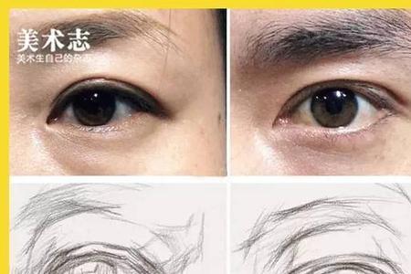 眼睛的特点
