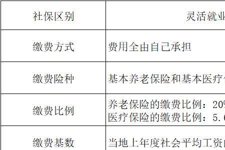 南昌灵活就业社保怎么交