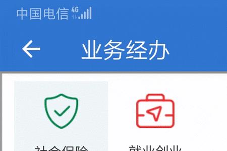 养老保险本年查询不了吗