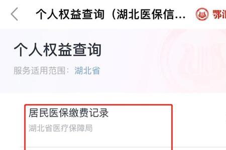 武汉市的医保怎么还查不了