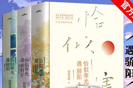 恰似寒光遇骄阳中的聂无忧是谁