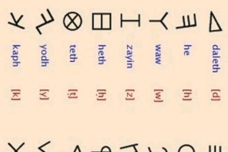 什么叫做首位字母