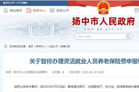 四川的灵活就业养老保险怎么查
