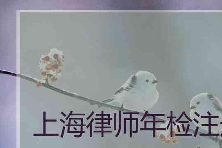 律师如何年检