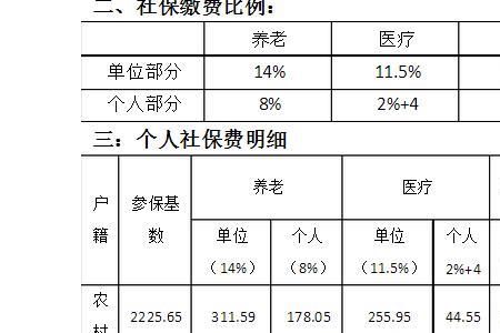 个体交社保个人账户占多少