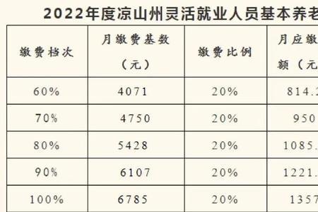2022年怎样交四川居民养老保险