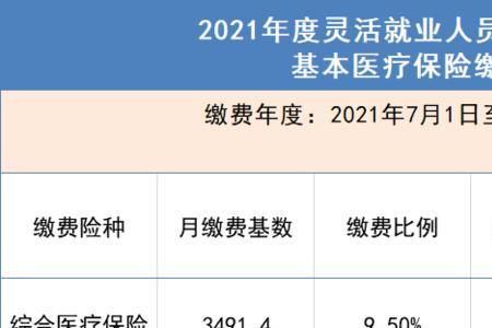 2010年湖南省灵活就业人员缴费基数
