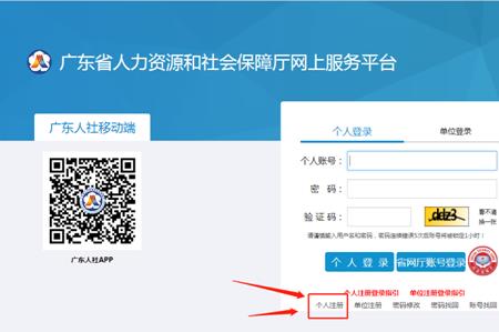 在家交的社保查不到