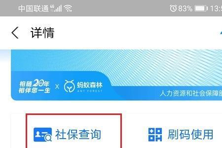 怎么查自己出了几次险