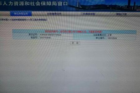 社保号什么格式