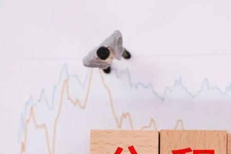 进厂可以不买社保只买公积金吗
