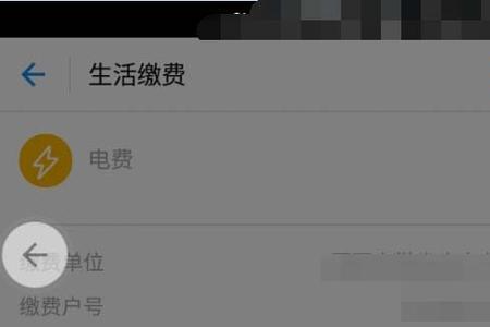 支付宝怎么交自然人收入