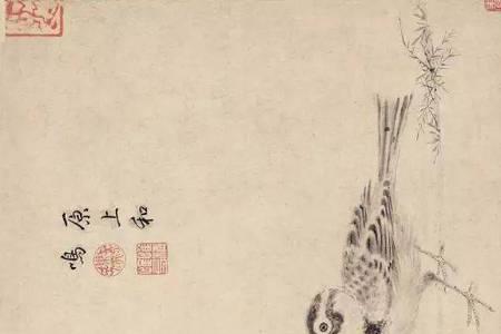 五色鹦鹉图含义