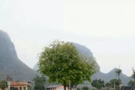 桂林学车搞笑方言