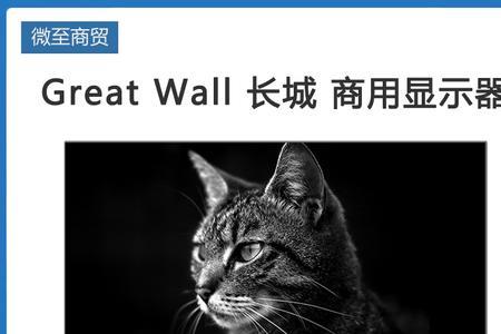 niaov电脑是什么牌子