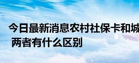农村社保多久认证一回