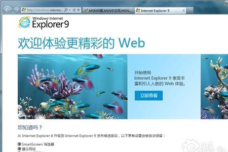 微软正版IE的默认主页是什么