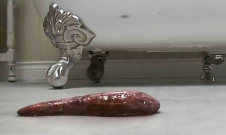 撕裂人一共几部